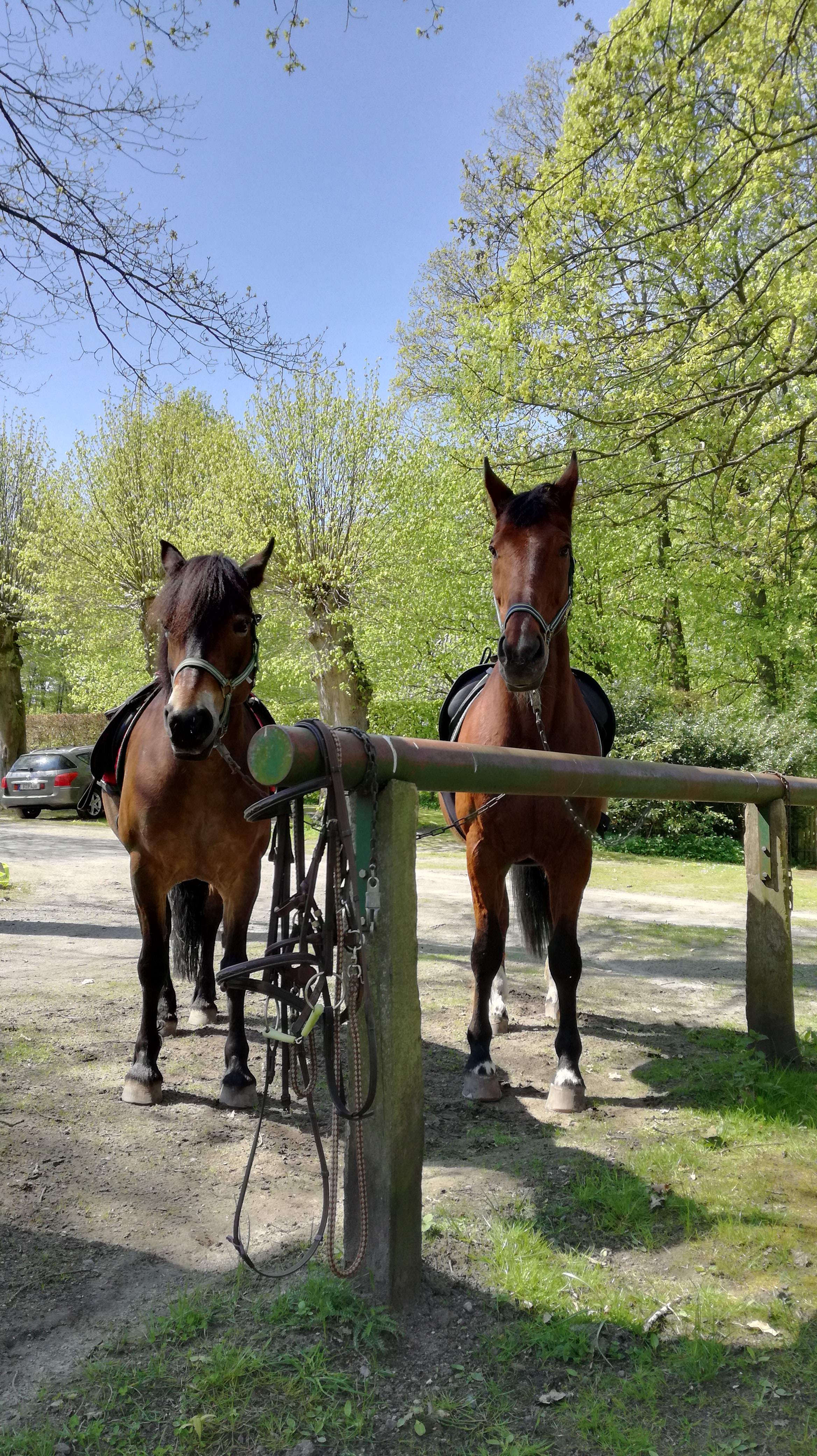 Pause in der Lüneburger Heide